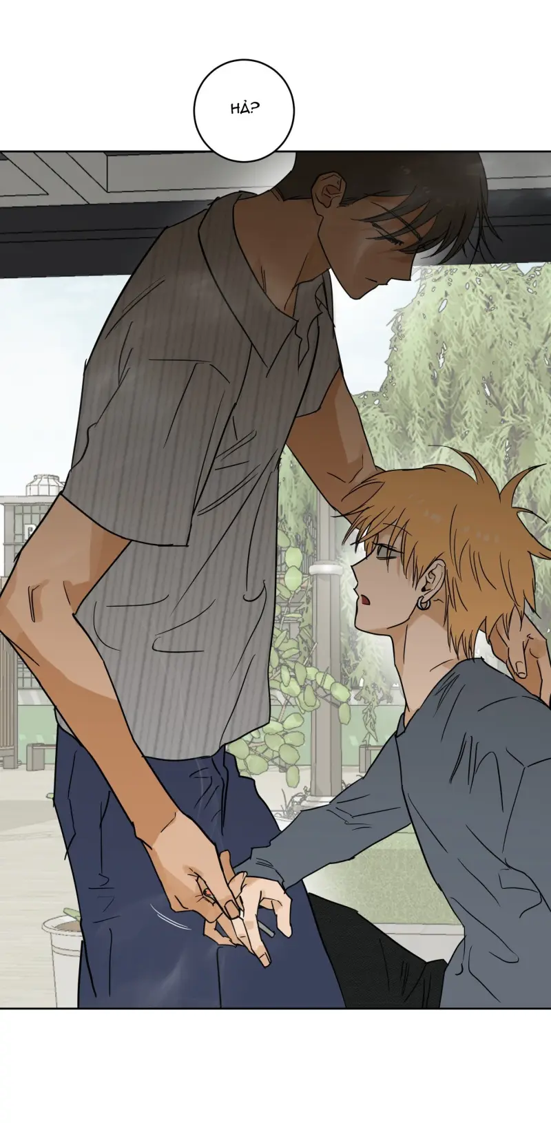 FULL BOOK -  - Trang 54