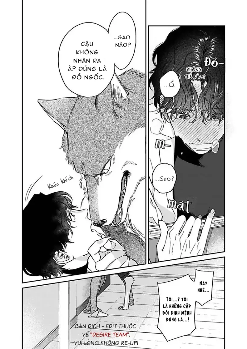 Tình Yêu Mãnh Liệt Của Ngài Sói -  - Trang 18