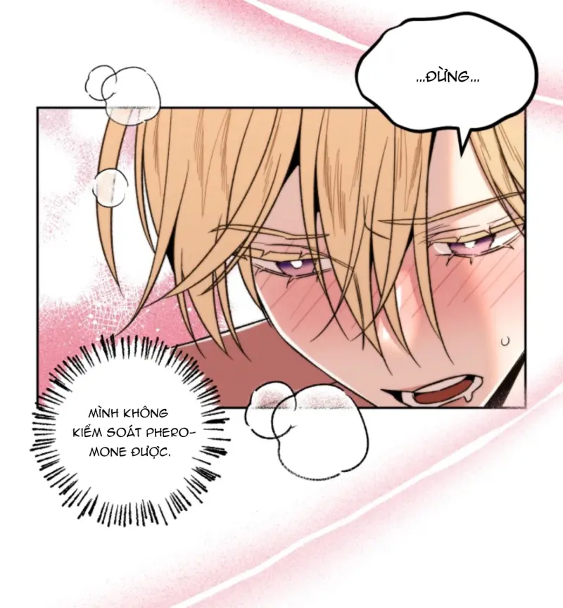 Người Hàng Xóm Bất Ngờ -  - Trang 19