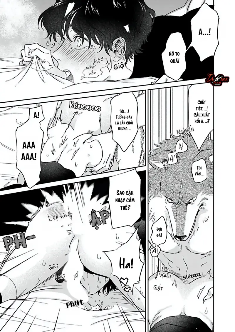 Tình Yêu Mãnh Liệt Của Ngài Sói -  - Trang 25