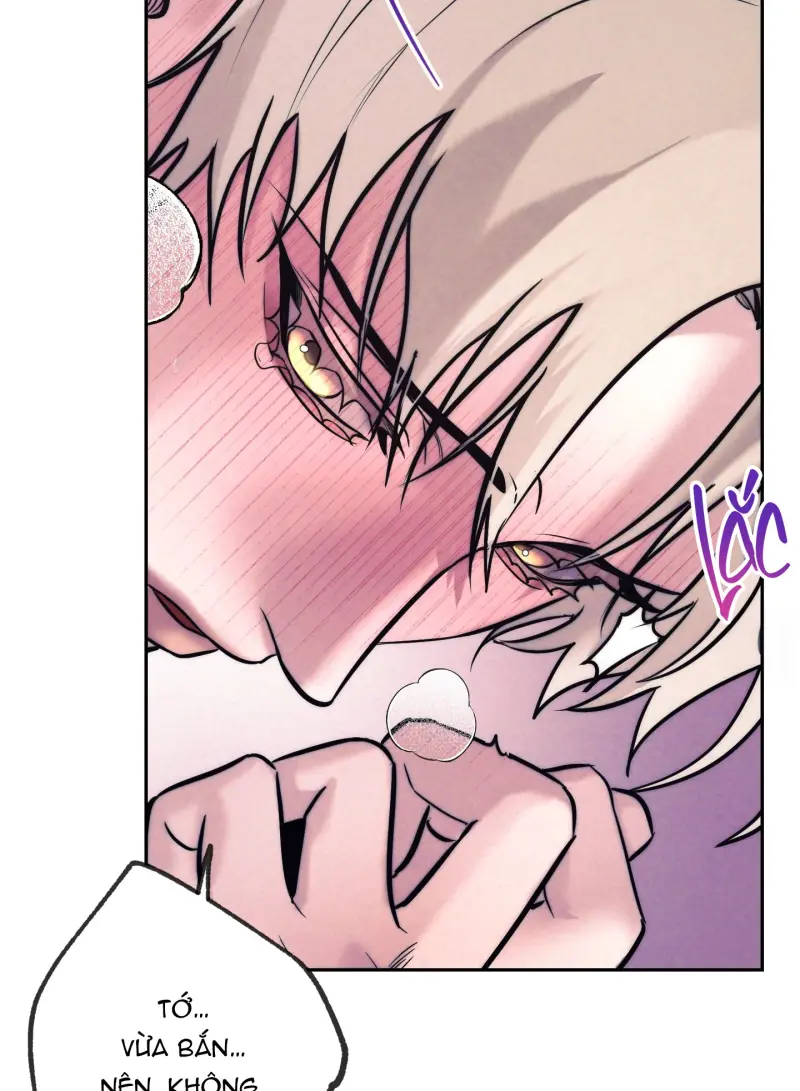 KỲ THỊ -  - Trang 43