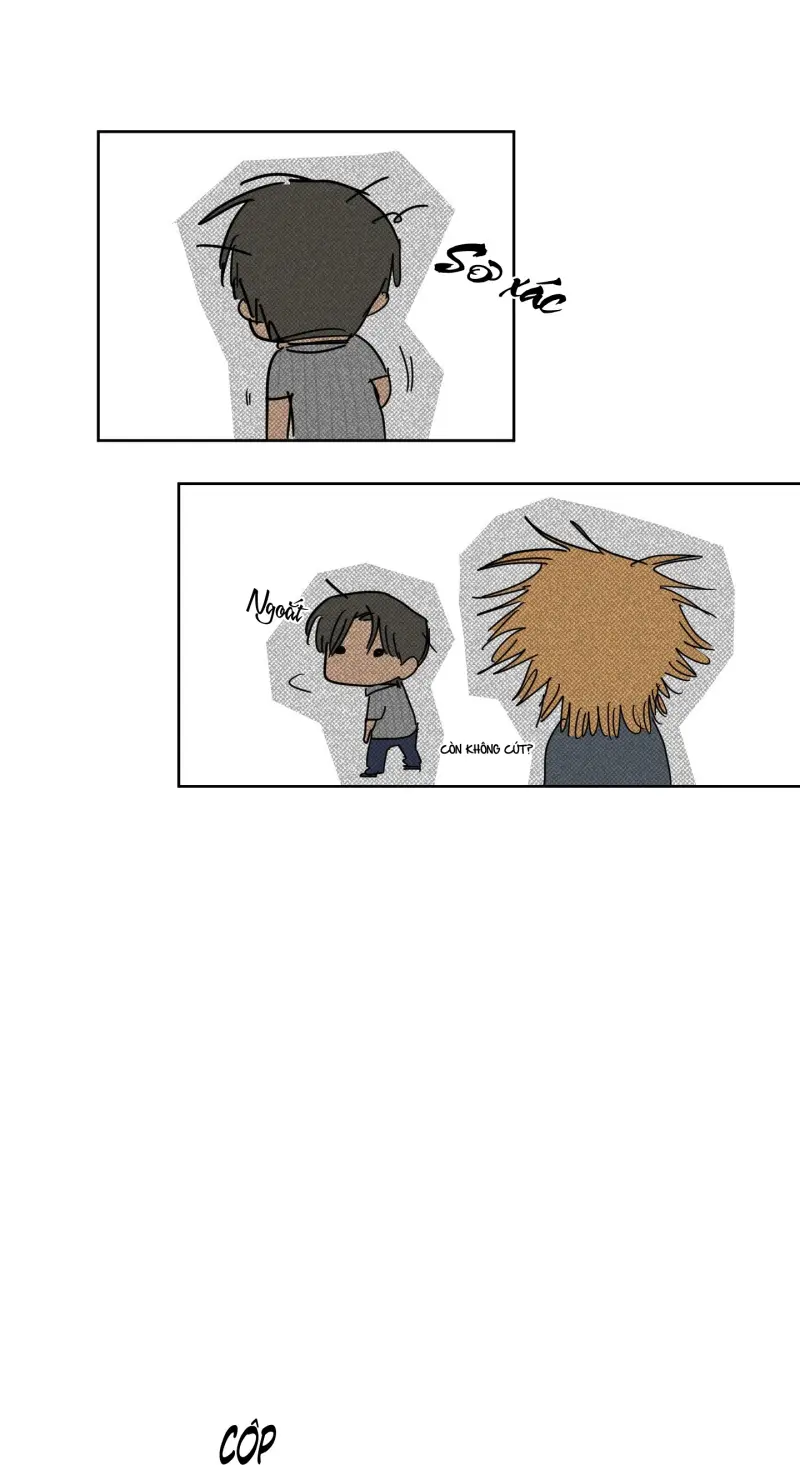 FULL BOOK -  - Trang 47