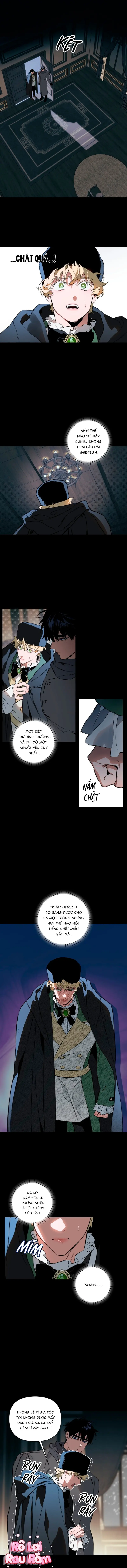 THUẦN PHỤC -  - Trang 3