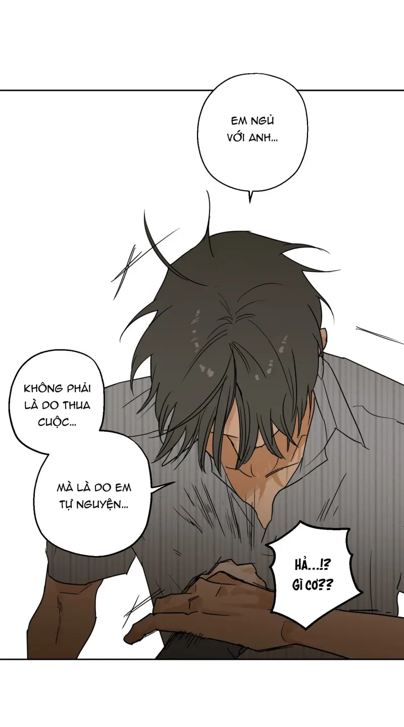 FULL BOOK -  - Trang 62