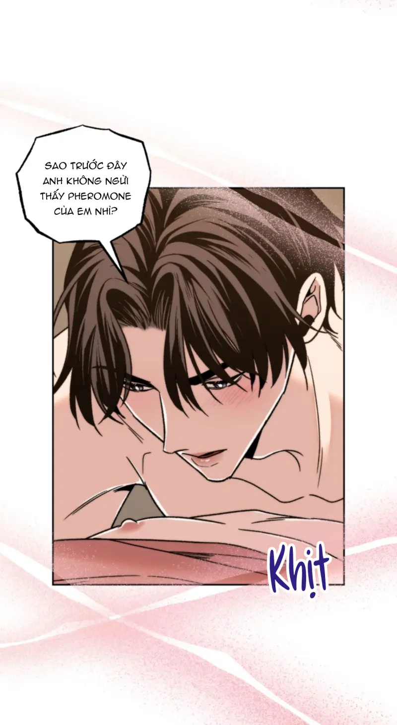 Người Hàng Xóm Bất Ngờ -  - Trang 35