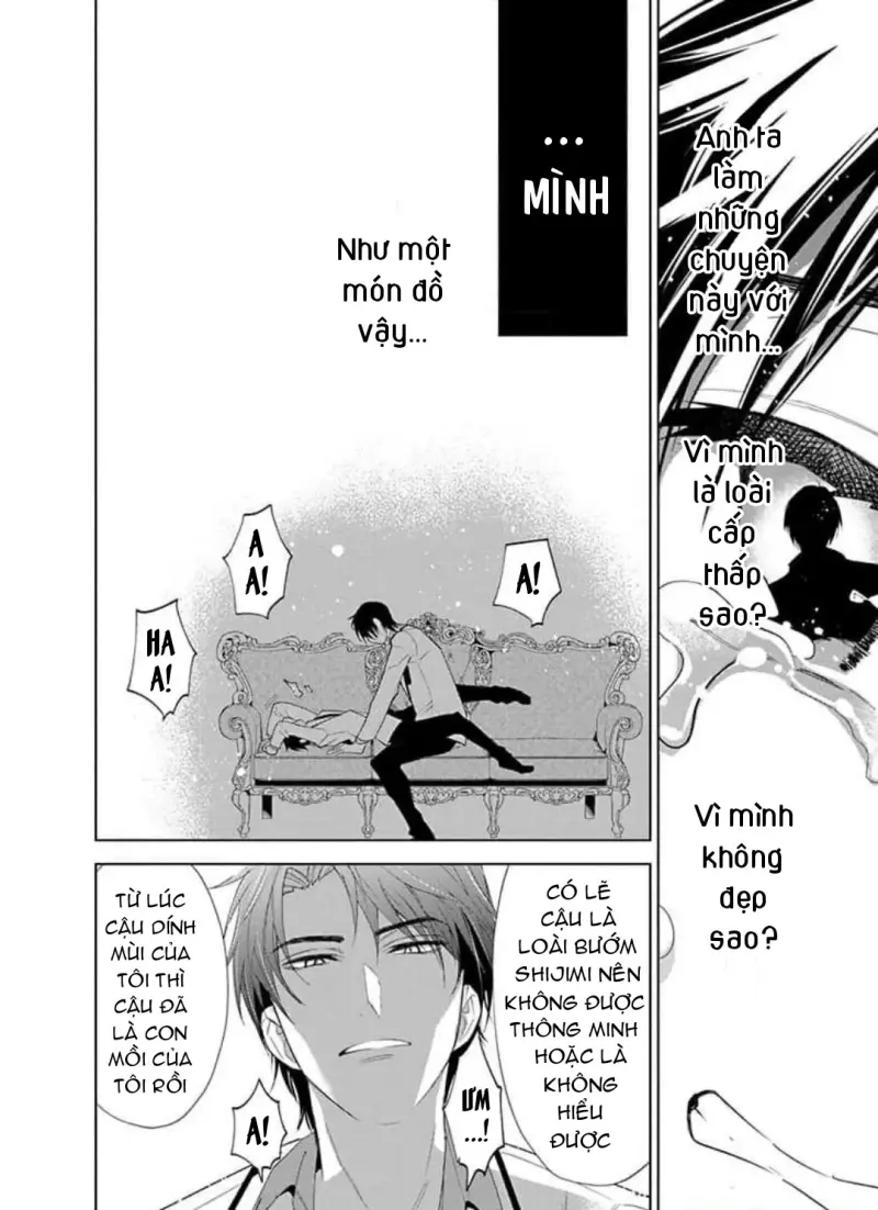 Vấp Ngã Trước Hồi Kết Của Tình Yêu -  - Trang 12