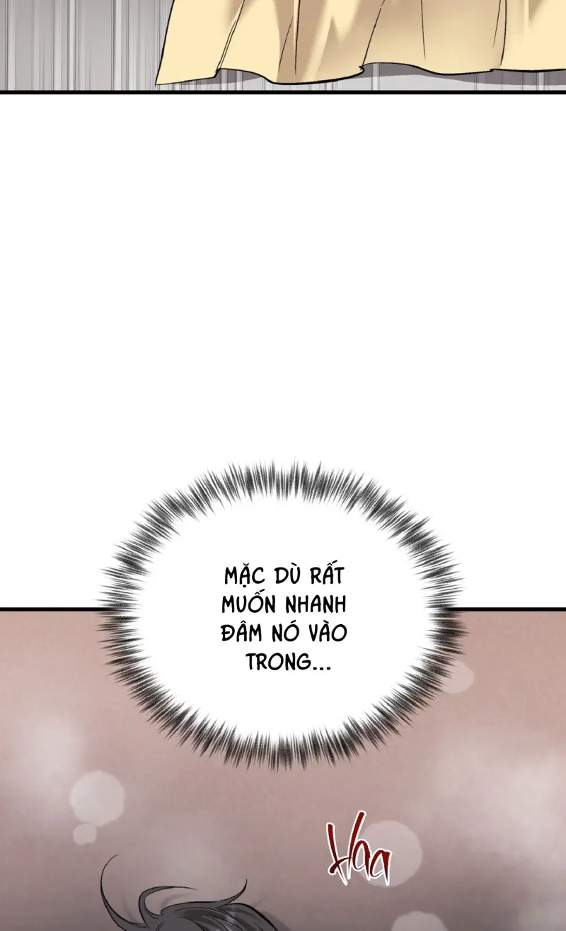 HONEY BEAR -  - Trang 62