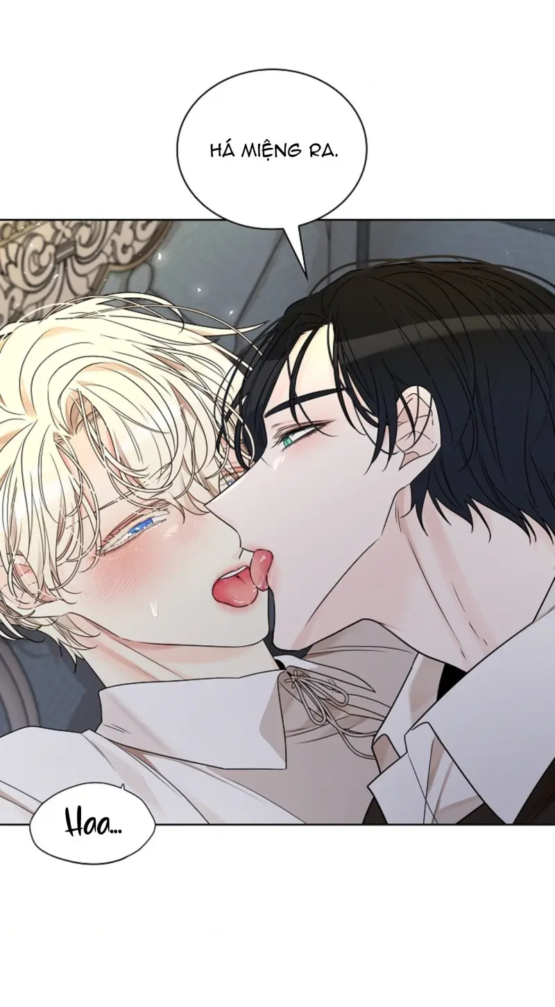 HANG RẮN -  - Trang 37