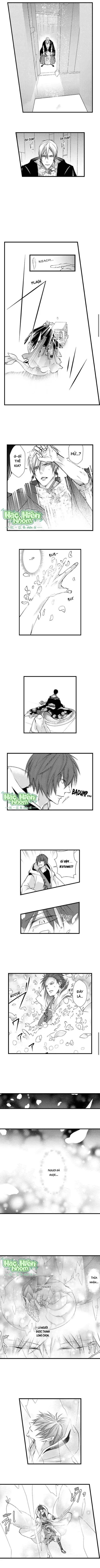 Fan cuồng Boylove bị triệu hồi tới một thế giới lạ - Hachiennhom - Trang 4