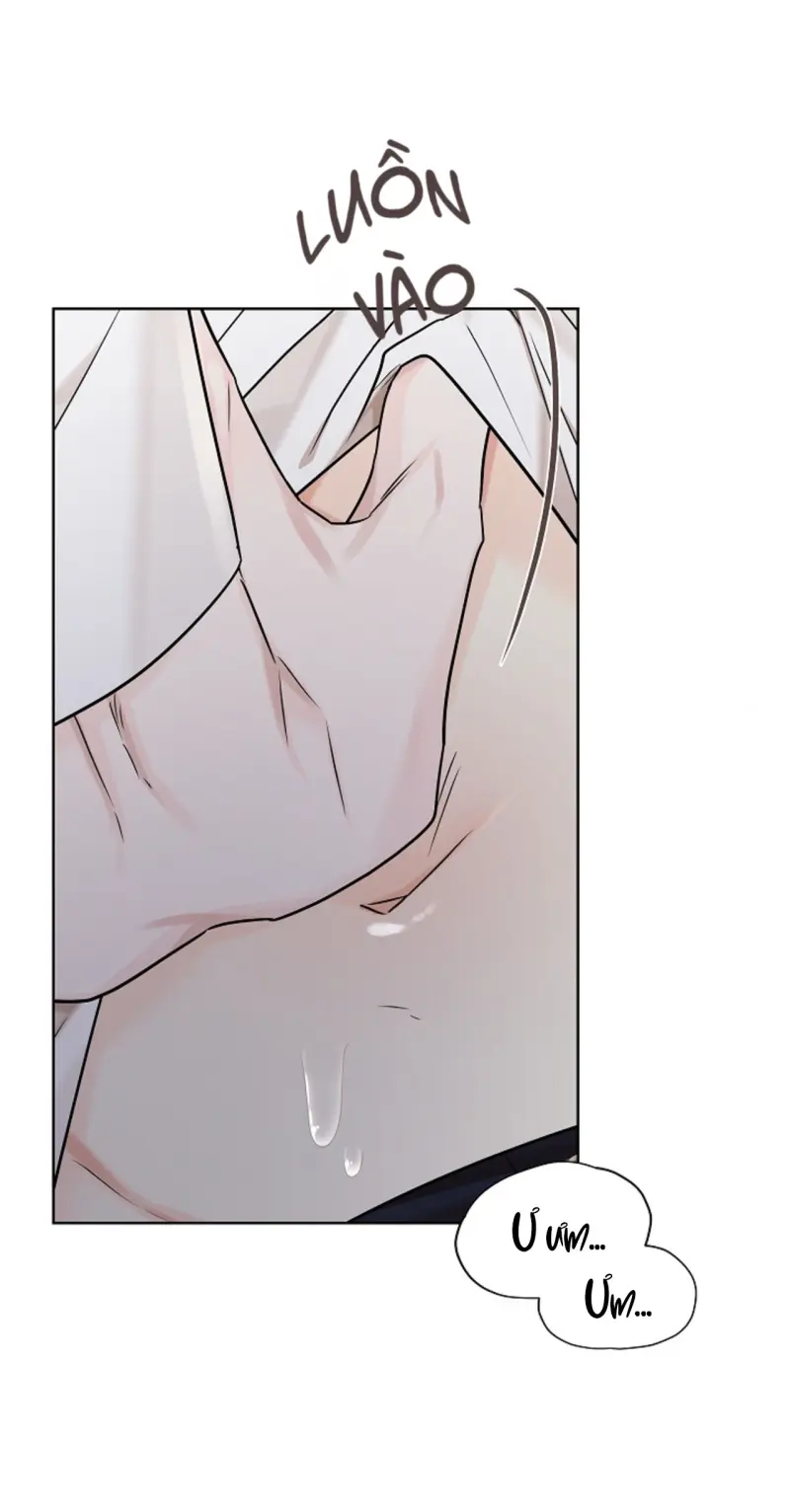 HANG RẮN -  - Trang 41