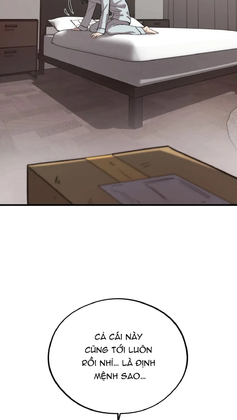 HONEY BEAR -  - Trang 41