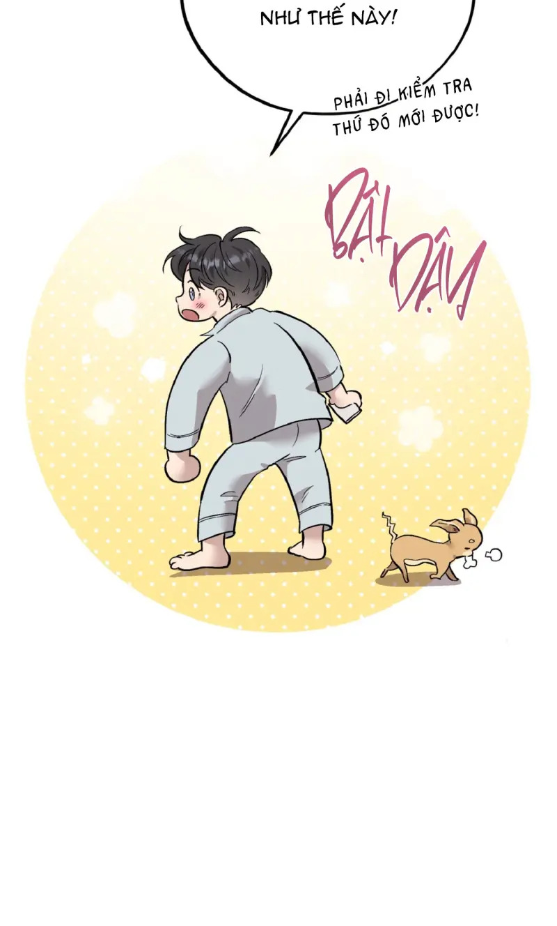 HONEY BEAR -  - Trang 10