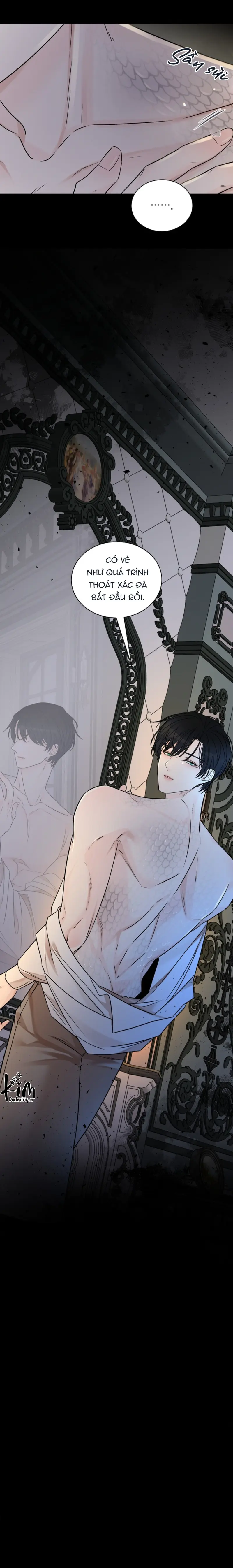 HANG RẮN -  - Trang 62