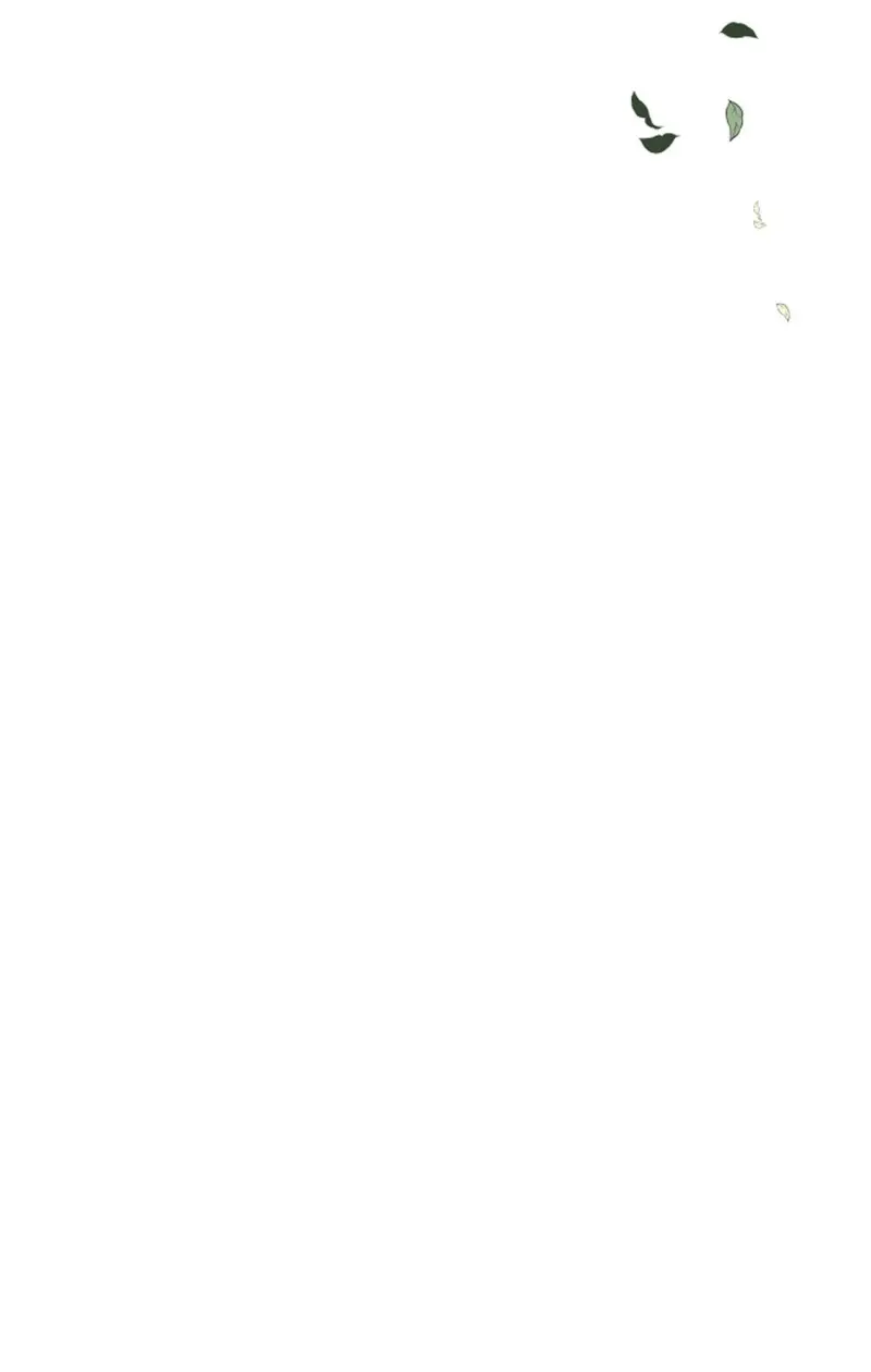 HANG RẮN -  - Trang 17