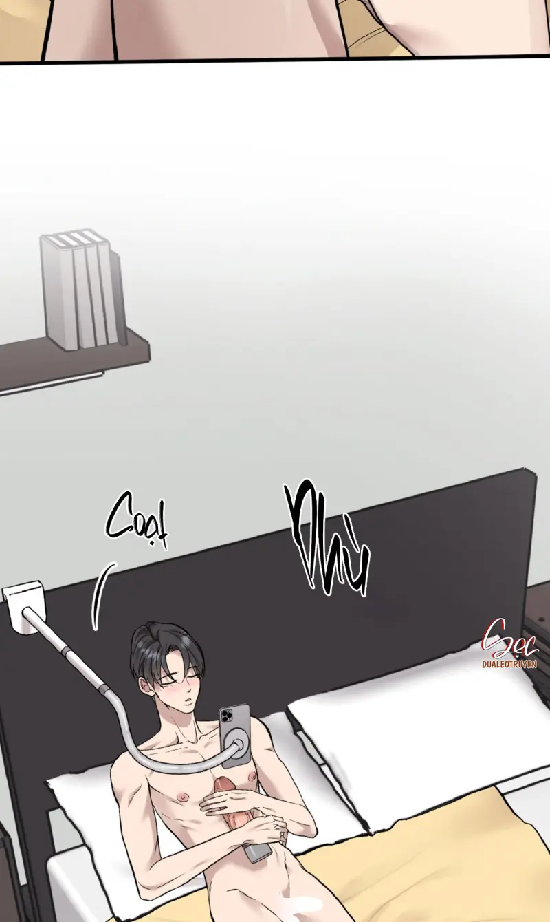 HONEY BEAR -  - Trang 49