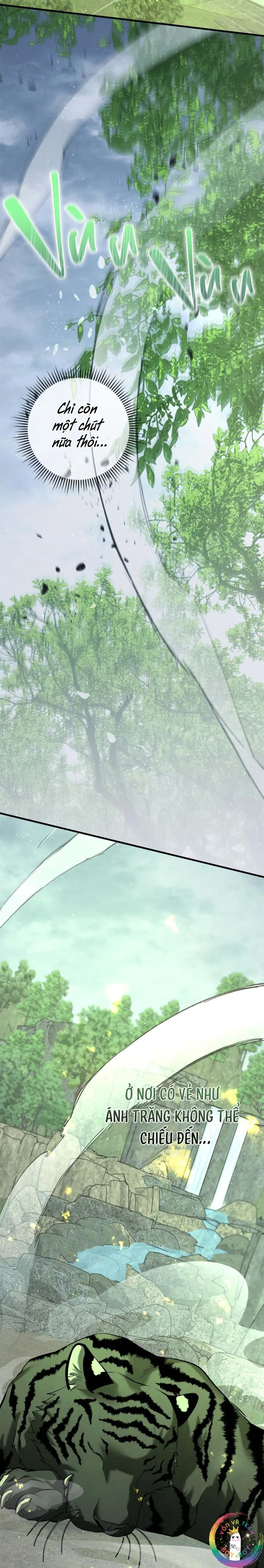 Màn Đêm Không Lối -  - Trang 26