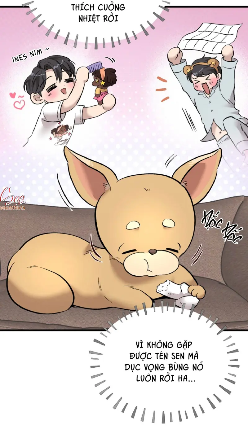 HONEY BEAR -  - Trang 25