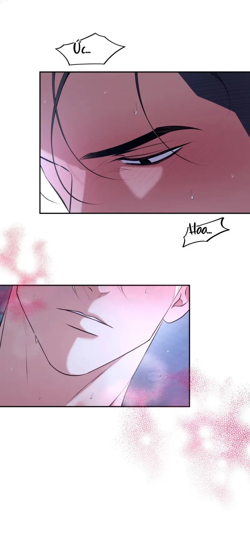 DAWNING LIGHT -  - Trang 5