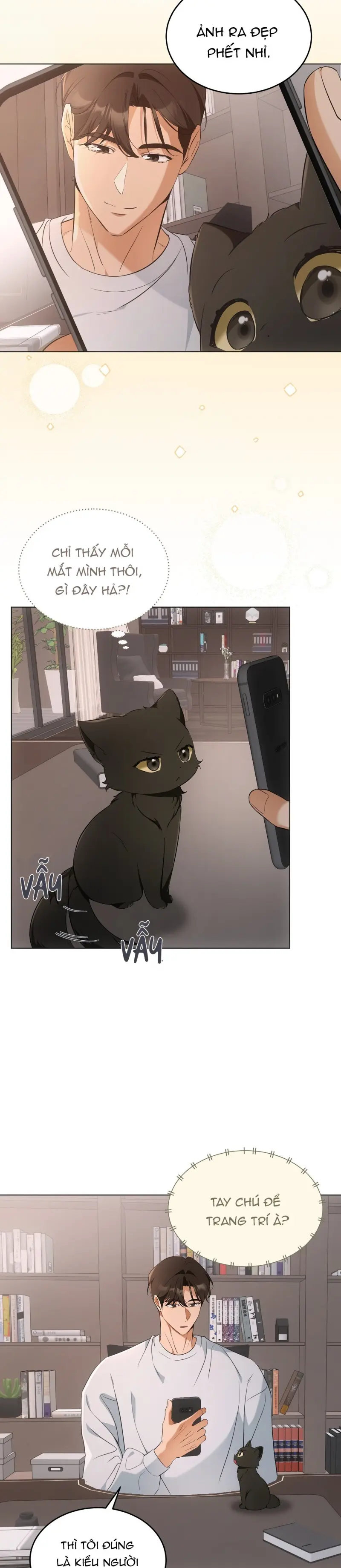 LIỆU PHÁP MÈO -  - Trang 8