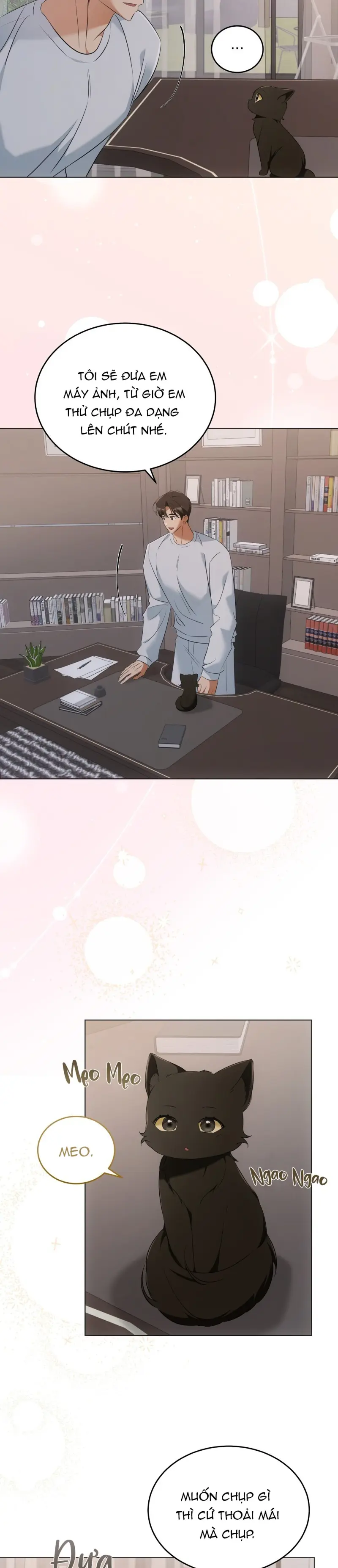 LIỆU PHÁP MÈO -  - Trang 18