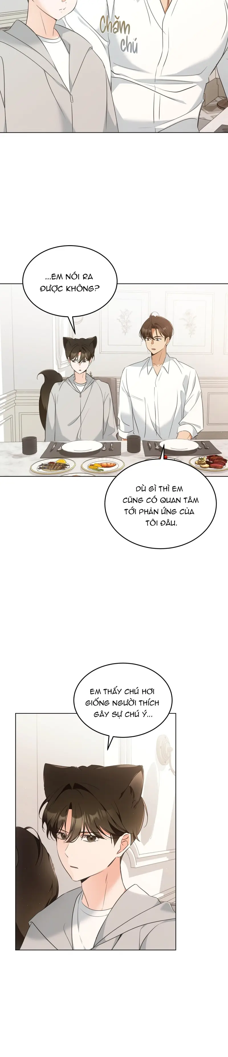 LIỆU PHÁP MÈO -  - Trang 5