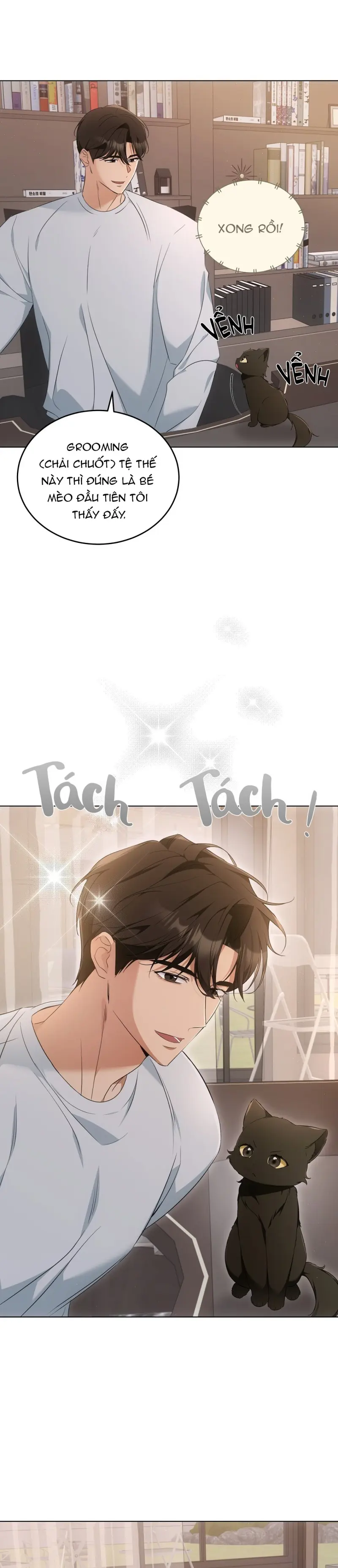 LIỆU PHÁP MÈO -  - Trang 13