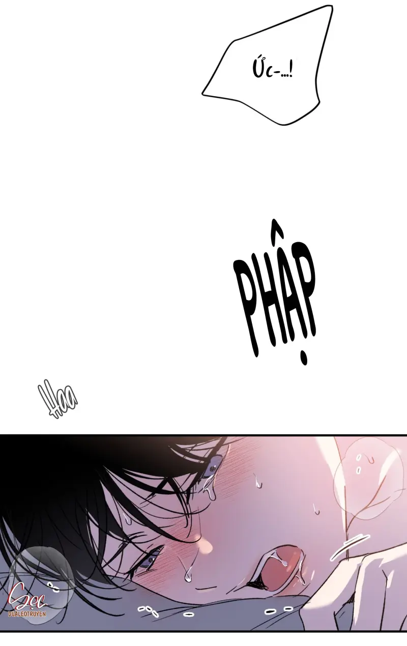 ÁNH MẮT LẠC NHỊP -  - Trang 51