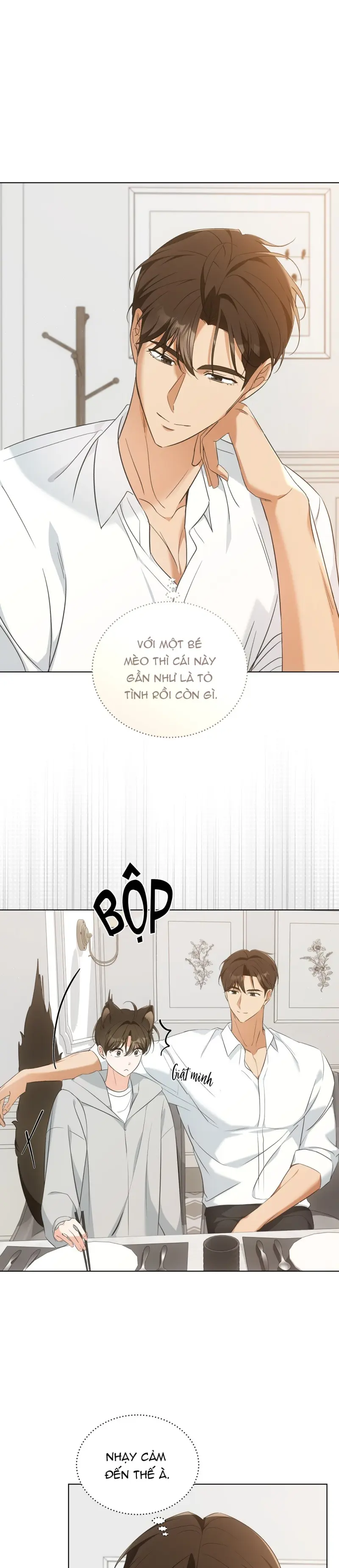 LIỆU PHÁP MÈO -  - Trang 2