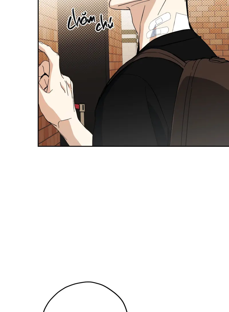 TƯƠNG XỨNG -  - Trang 36