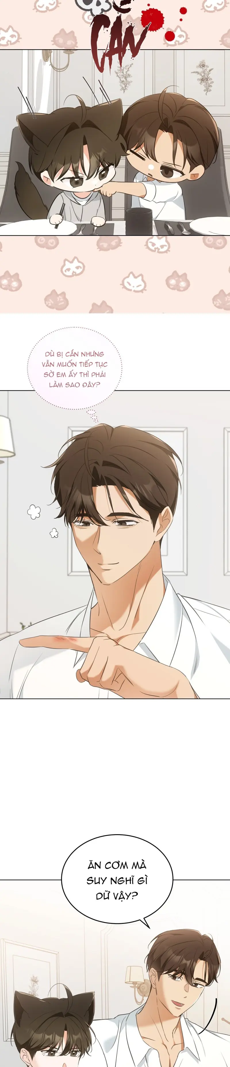 LIỆU PHÁP MÈO -  - Trang 4