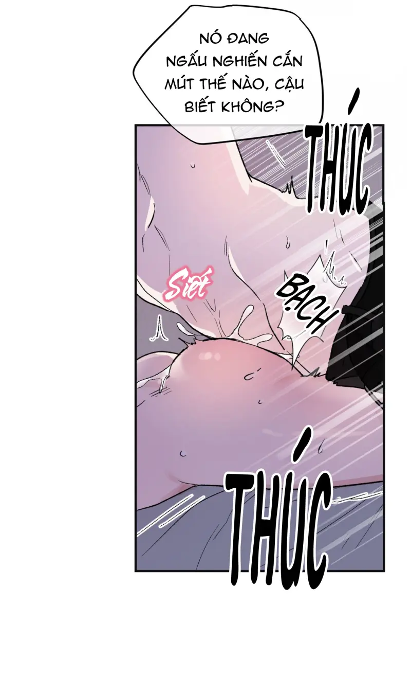ÁNH MẮT LẠC NHỊP -  - Trang 55