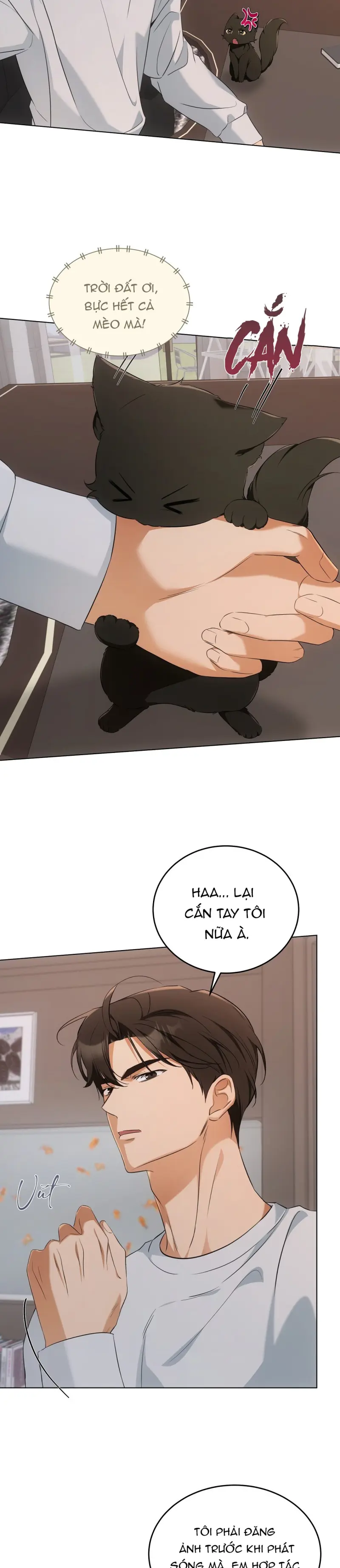 LIỆU PHÁP MÈO -  - Trang 10