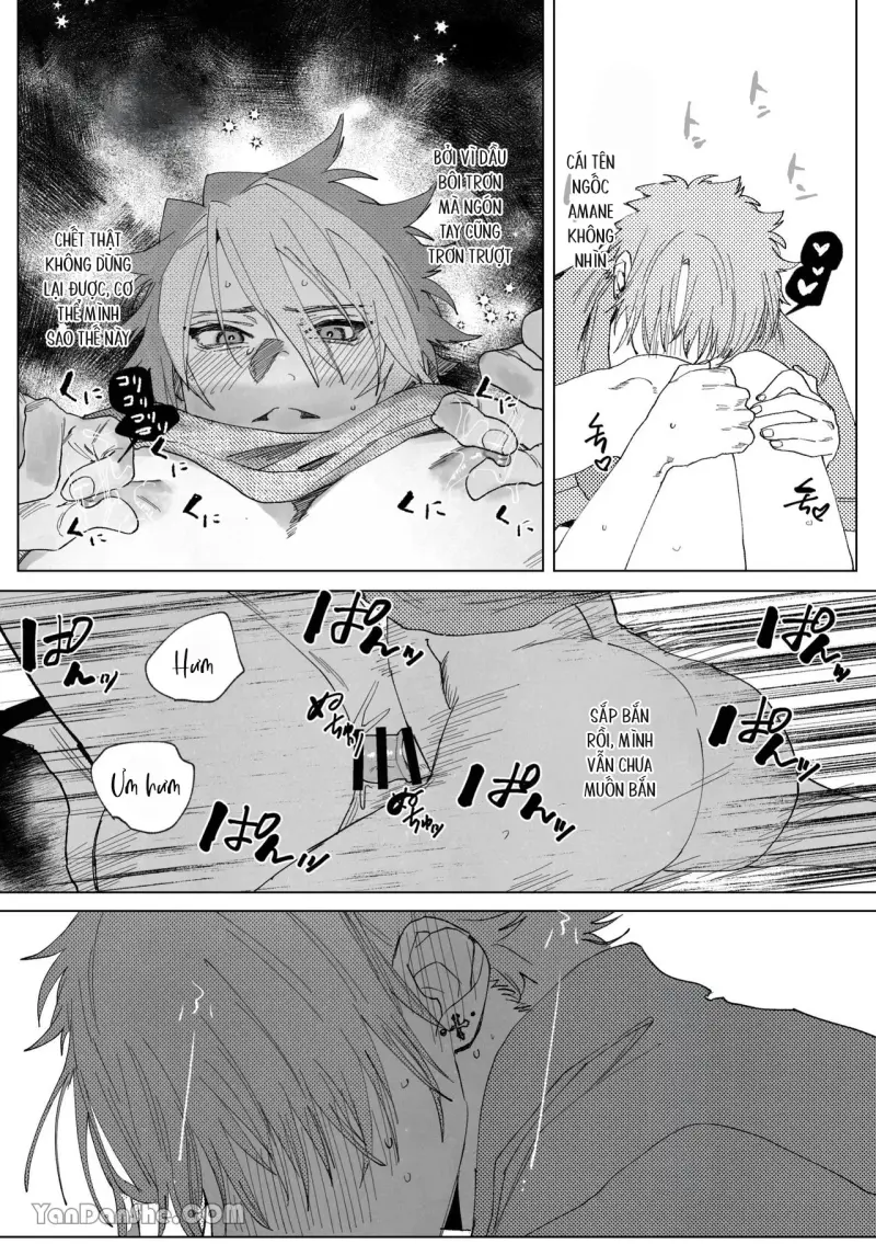 Cúc Ciu Full HD -  - Trang 24