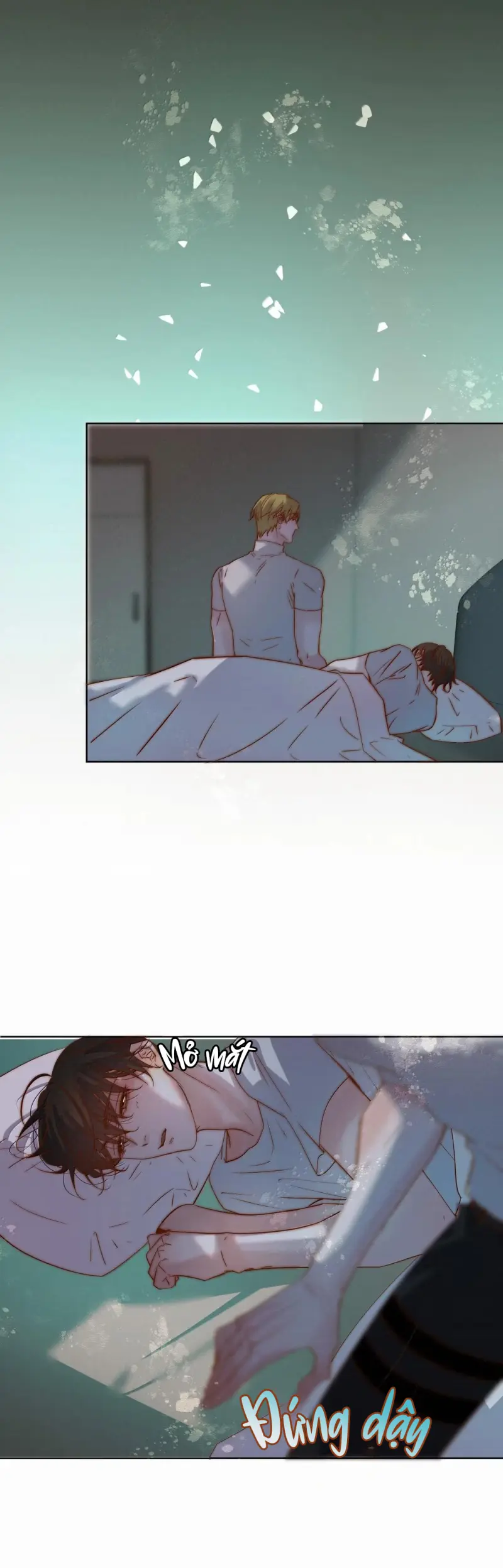 Trỗi Dậy Từ Tro Tàn -  - Trang 16