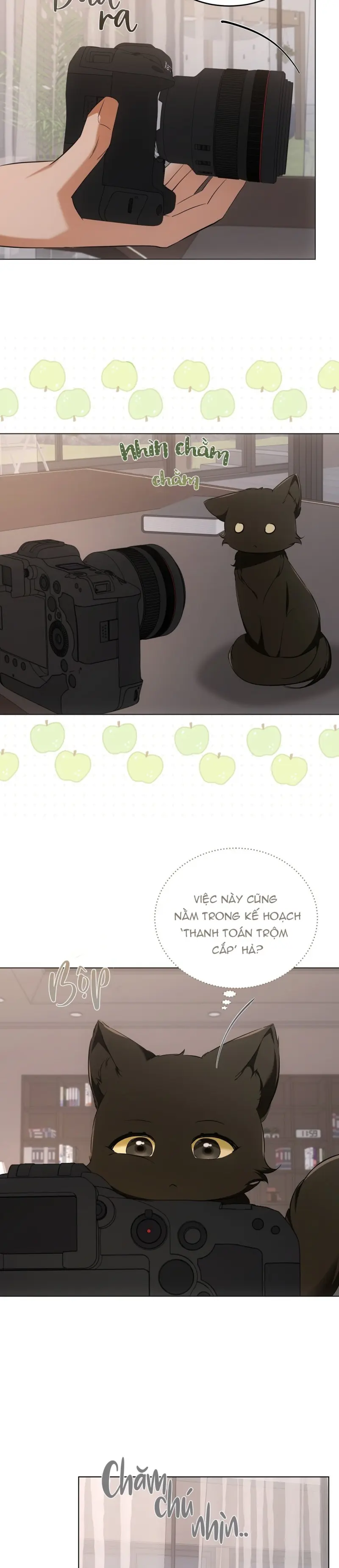 LIỆU PHÁP MÈO -  - Trang 19