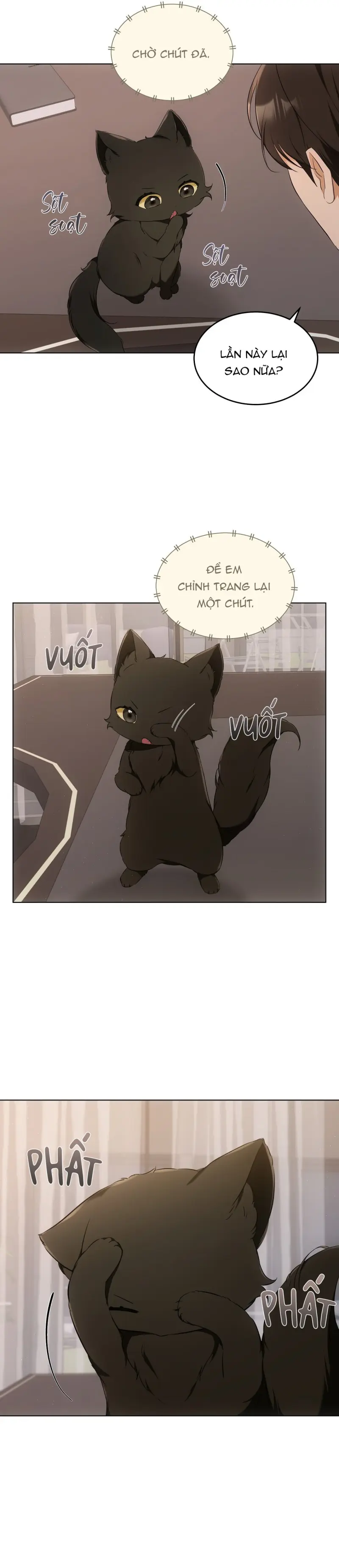 LIỆU PHÁP MÈO -  - Trang 12