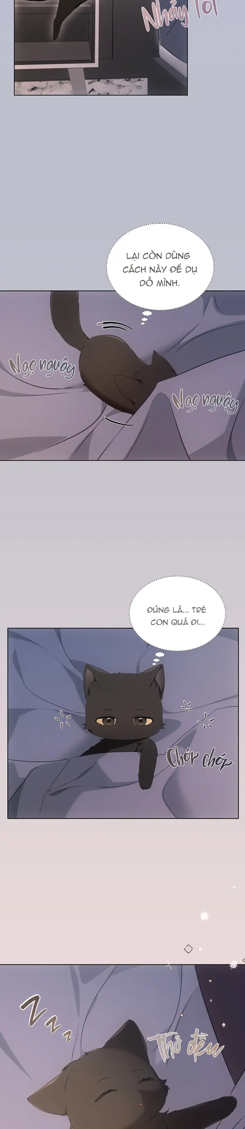 LIỆU PHÁP MÈO -  - Trang 23