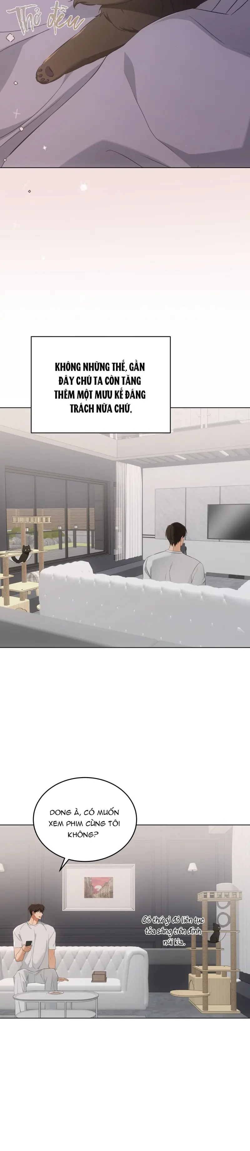 LIỆU PHÁP MÈO -  - Trang 24