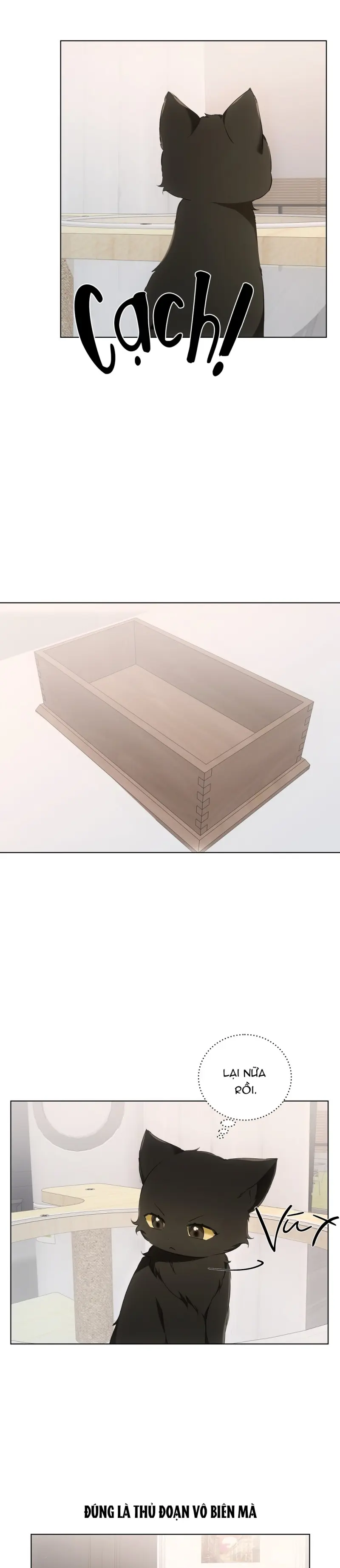 LIỆU PHÁP MÈO -  - Trang 25