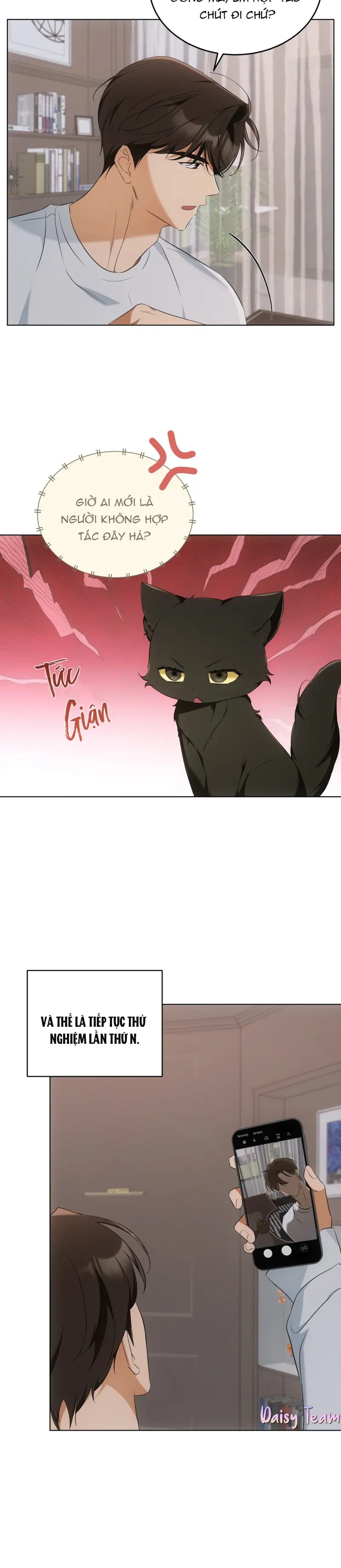 LIỆU PHÁP MÈO -  - Trang 11