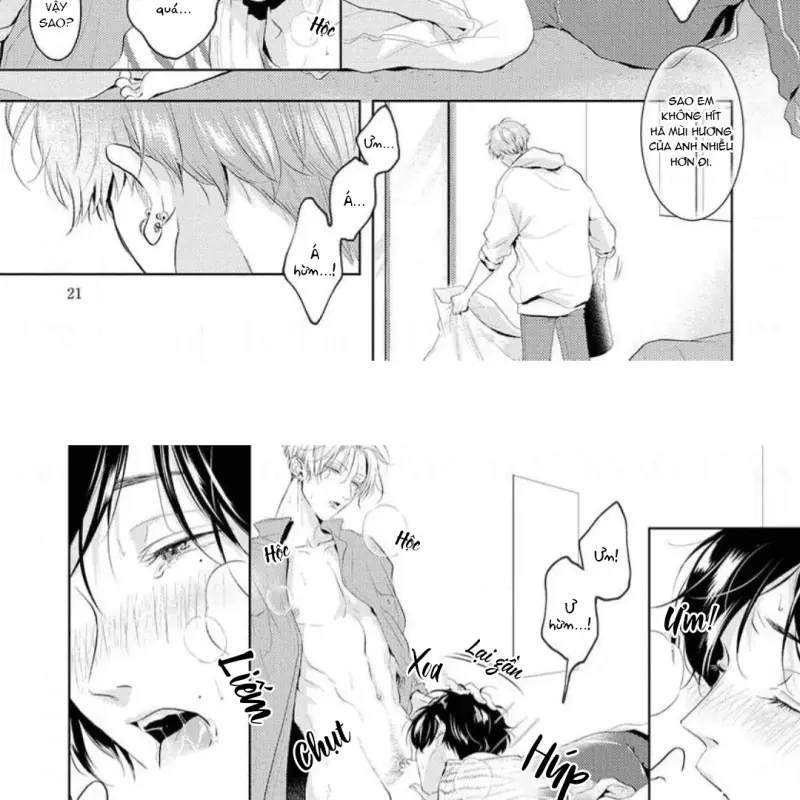 Mùi Hương Khó Cưỡng - H - Trang 31
