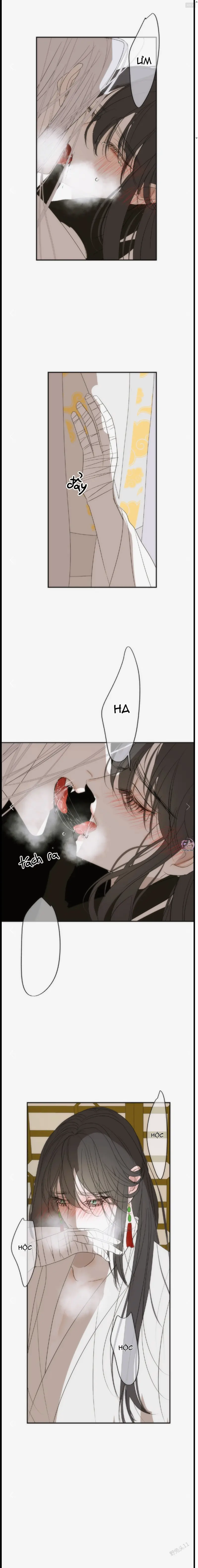 Vài Câu Chuyện Với Sư Tôn Sau Khi Xuyên Sách -  - Trang 3