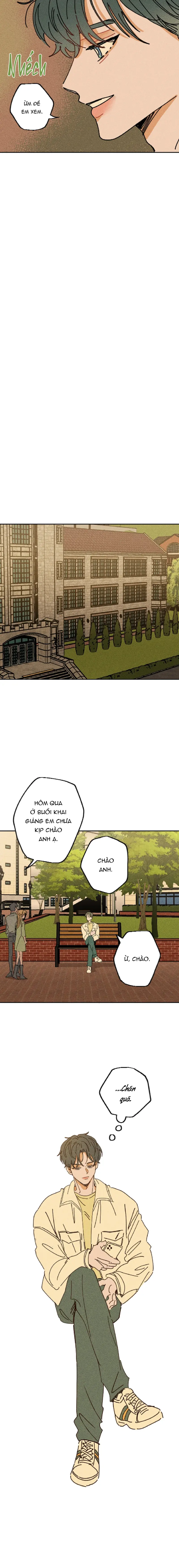 Đàn Anh Dễ Xơi - Chapter 2 - Trang 24