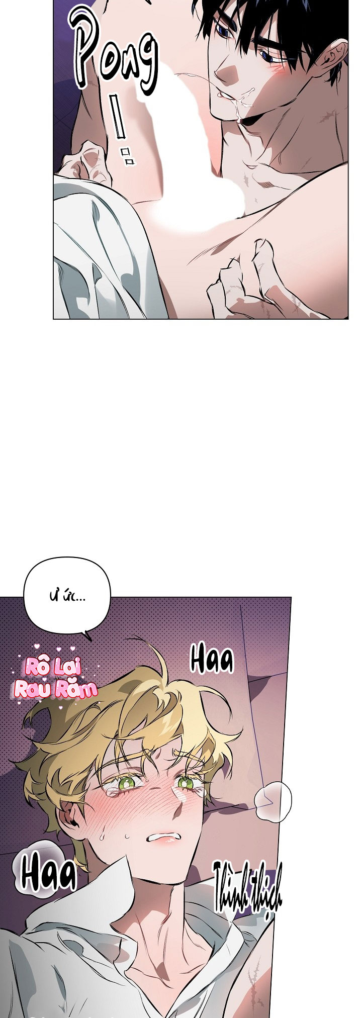 THUẦN PHỤC -  - Trang 17