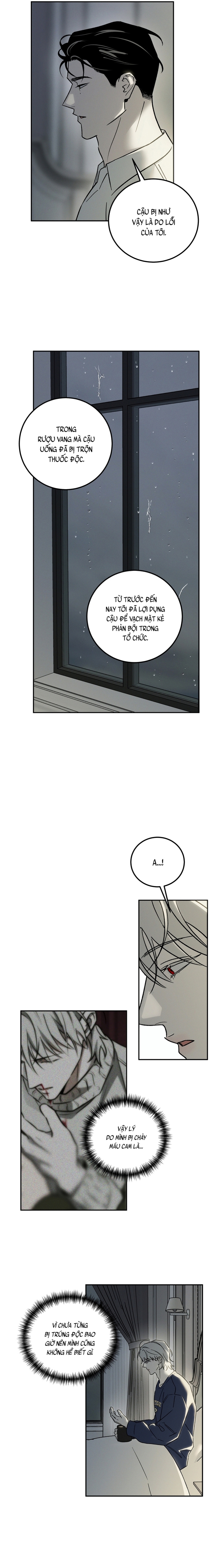 Vampire Homeless - Chapter 8 - Trang 4