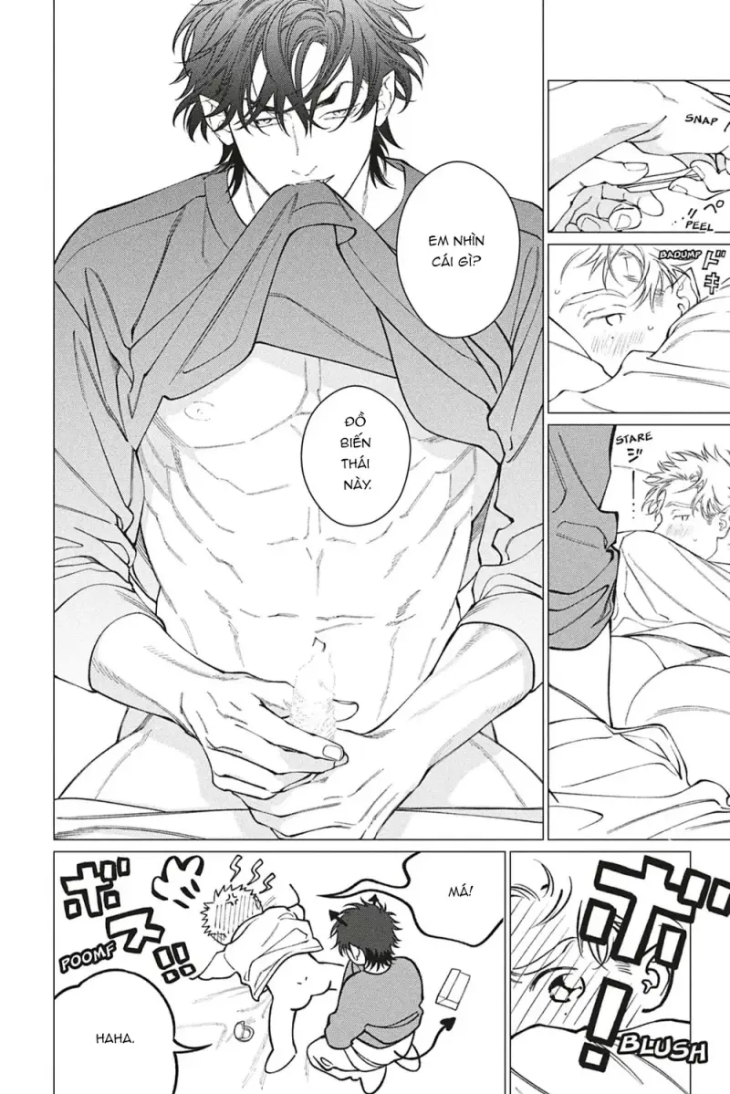 Răng Nanh - H+ - Trang 71